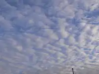 Mackerel sky over Heidelberg, Germany