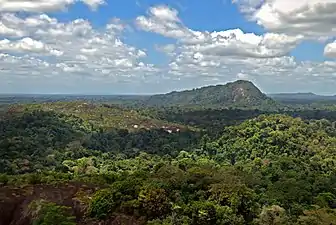An inselberg in the rainforest of Suriname.