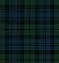 Ancient Campbell tartan