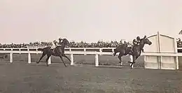 Ammon Ra, 1931 winner.