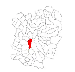 Location in Caraș-Severin County