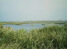 The Anklamer Torfmoor near Rosenhagen