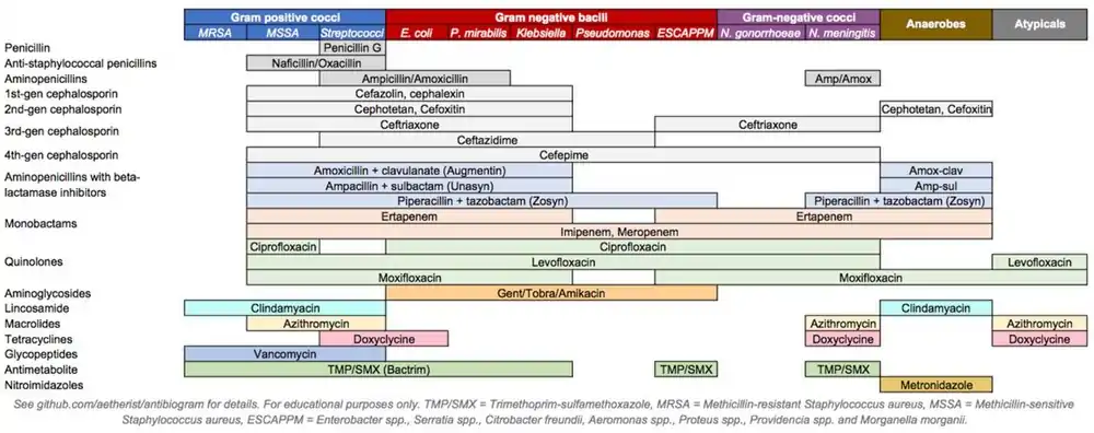 Antibiotics coverage diagram