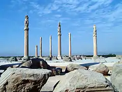 Ruins of the Apadana, Persepolis.