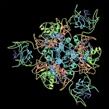 apartate carbamoyltransferase