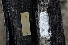 Trail markers where the Appalachian Trail and Bartram Trail meet