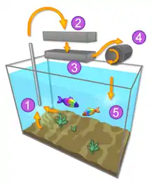 Drawing of transparent 3-dimensional rectangle with two boxes and one cylinder above it and one longer, thin cylinder within it. Arrows point from the rectangle long cylinder to the top box, from the top box to the lower box, from the lower box to the other cylinder, from that cylinder back to itself, and from the cylinder to the rectangle.