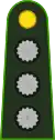 Argentine Army(Capitán)