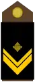 Nadnarednik(Croatian Army)