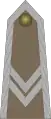 Starszy sierżant(Polish Army)