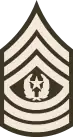 Command Sergeant Major