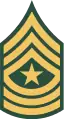 1966–1968, the only authorized insignia for all sergeants major