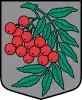 Coat of arms of Arona Parish