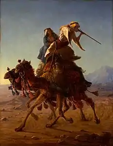 Bedouin on Camel