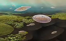 Francevillian organisms floating in the water column, shaped like flattened disks with ridged borders