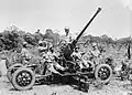 Askaris of the 11th East African Division training on an anti-aircraft gun