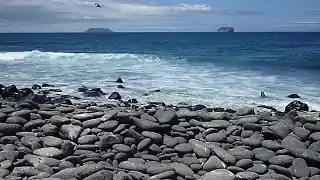 Beach in North Seymour Island, Galápagos