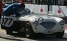 Austin-Healey 100M