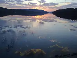 A beaver in Indalsälven in Indal