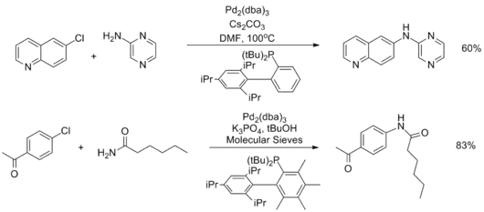 Heteoaryl and amide substrates in the Buchwald–Hartwig amination