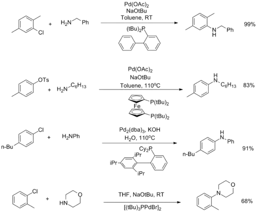 Bulky ligands in the Buchwald–Hartwig amination