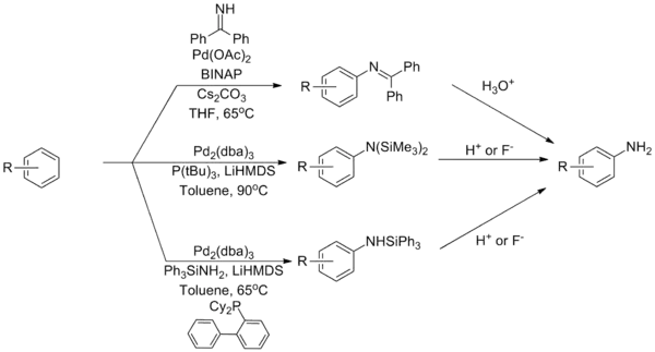 Ammonia equivalents in the Buchwald–Hartwig amination
