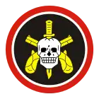 Patch & Beret Badge