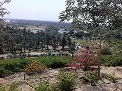 Photograph of rural landscape, taken from a hilltop