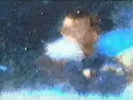 A modified version of the Moorman photo enlargement with added colors to highlight the Badge Man