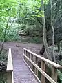 Wooden bridge over the Snowdon Brook.