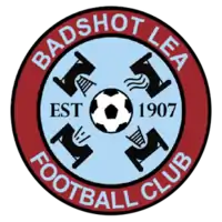 Club crest