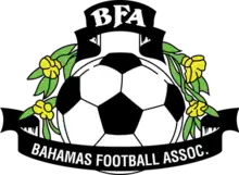 Shirt badge/Association crest