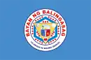 Flag of Balingasag