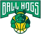 Ball Hogs logo