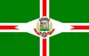 Flag of Conselheiro Lafaiete
