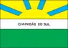 Flag of Chapadão do Sul