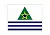 Flag of Figueirópolis d'Oeste