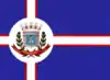 Flag of Mandaguaçu
