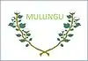 Flag of Mulungu, Paraíba