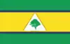 Flag of Floresta do Piauí