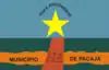 Flag of Pacajá