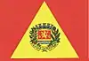 Flag of Alta Floresta, Mato Grosso