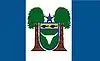 Flag of Cariré