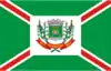 Flag of Paranaíba