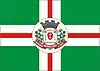 Flag of São Miguel do Oeste