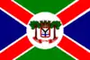 Flag of Humaitá