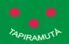 Flag of Tapiramutá