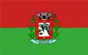 Flag of Araruna, Paraná