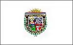 Flag of Mariano Roque Alonso