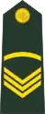 Sergeant(Bengali: সার্জেন্ট, romanized:&nbsp;Sārjēnṭa)(Bangladesh Army)